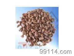 出售優質把玩核桃苗 其他種子、種苗 找產品 保定電子商務門戶網站 保定114網 電子商務 保定企業門戶網站 保定網站建設 企業用網政府指定單位 幫助所有企業做成網上的B2B生意